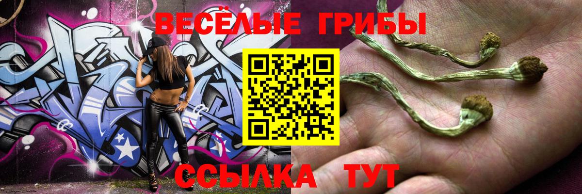 Галлюциногенные грибы Magic Shrooms  Вход с VPN  Майский 